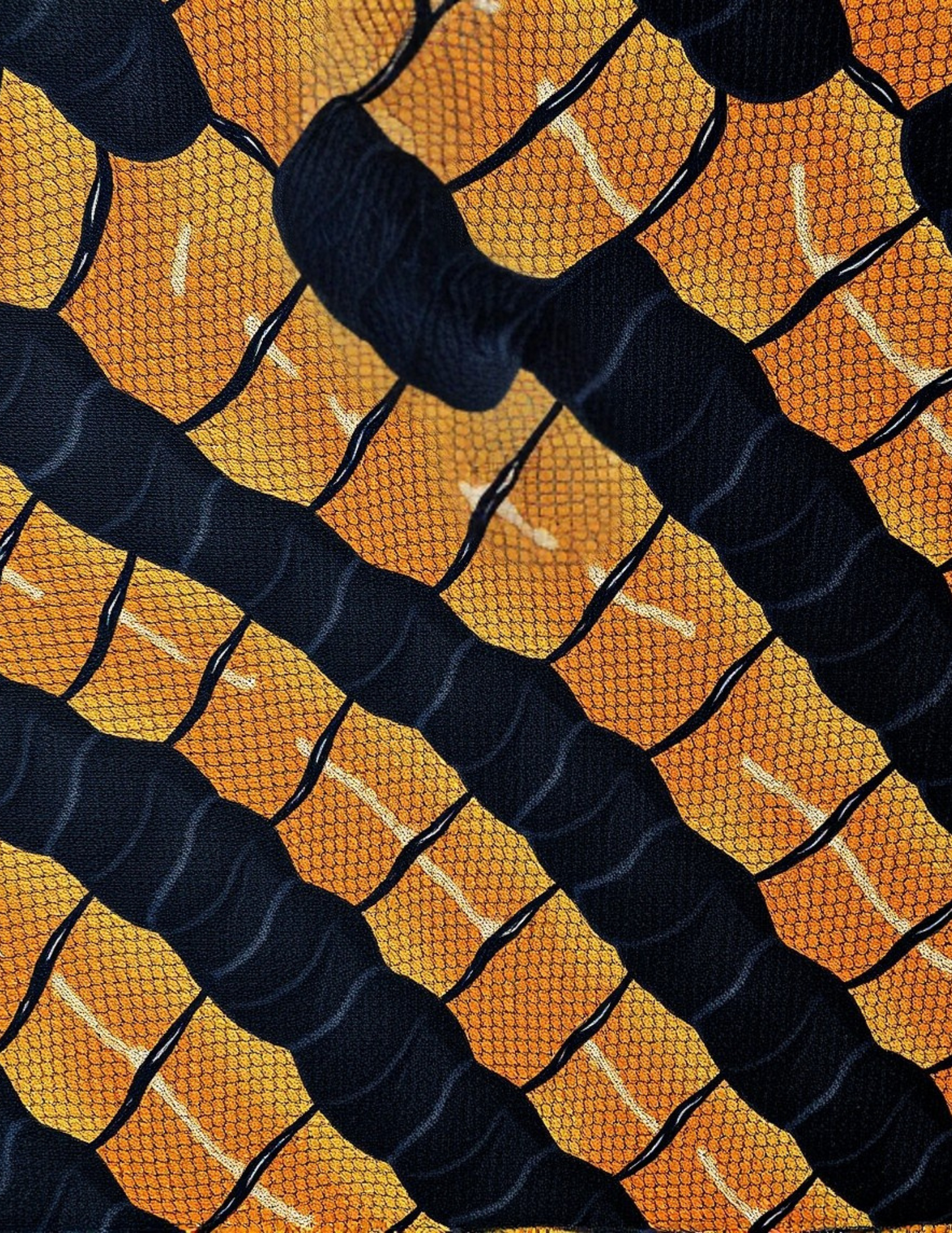 Snakes and Scales Magnetic Locker Set