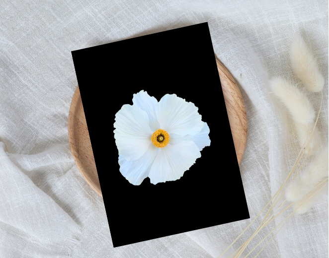 Flower Photo 4”x6” Mini Print - Black Background