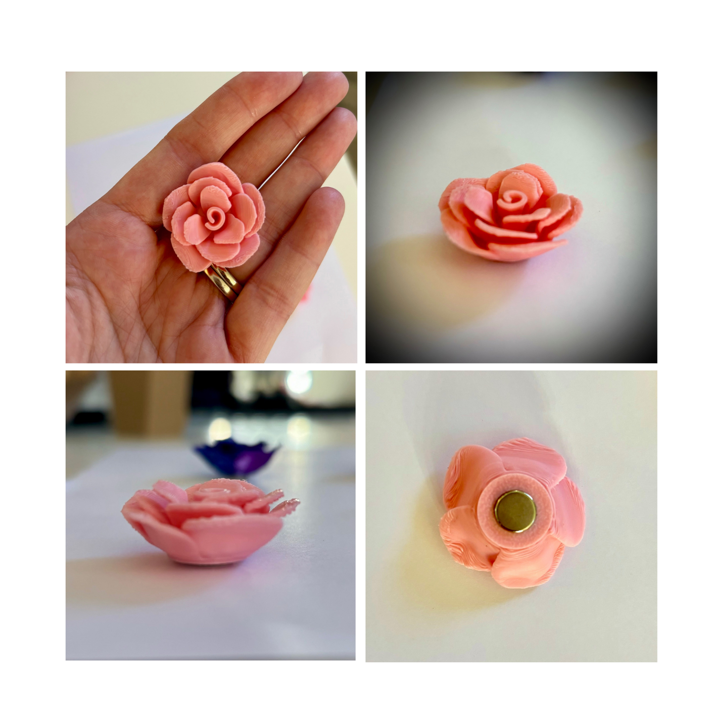 Flower Magnets | 6 Piece Set - Box Included
