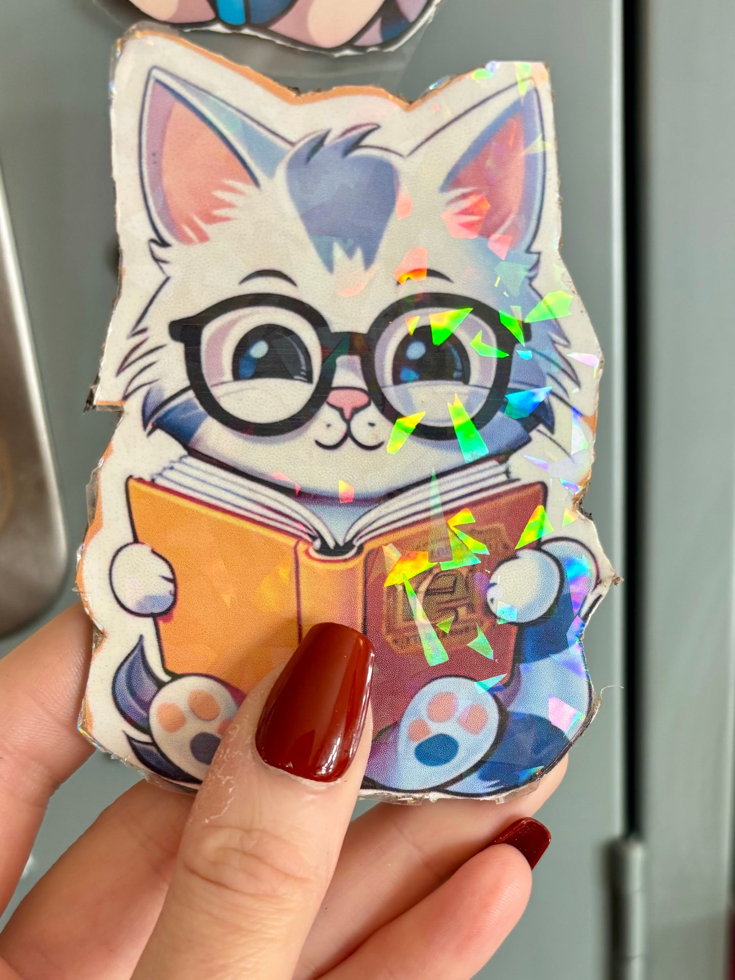Cute Cat and Dog Reading Magnets - Set of 8