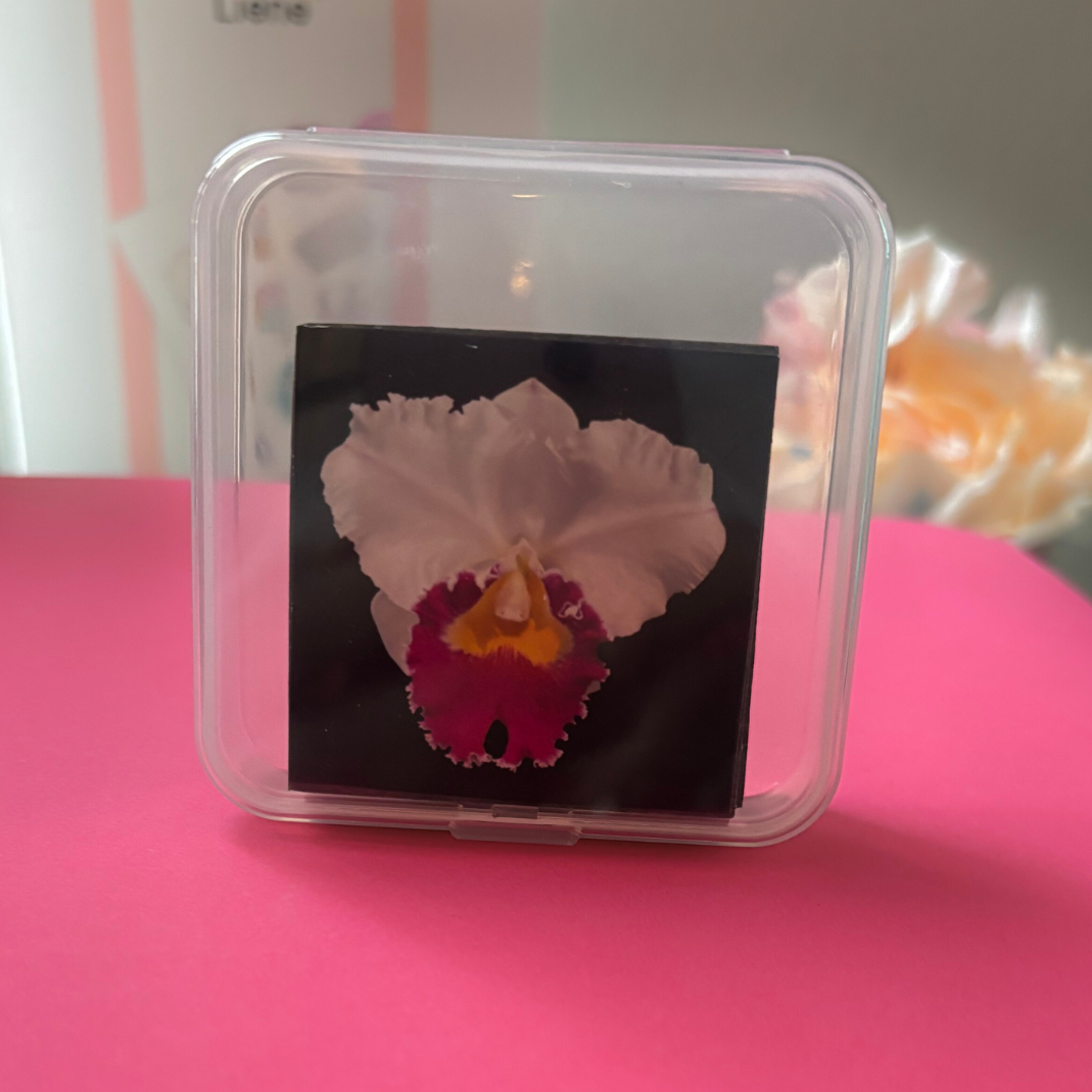 FLOWER PHOTO SQUARE MAGNET SET