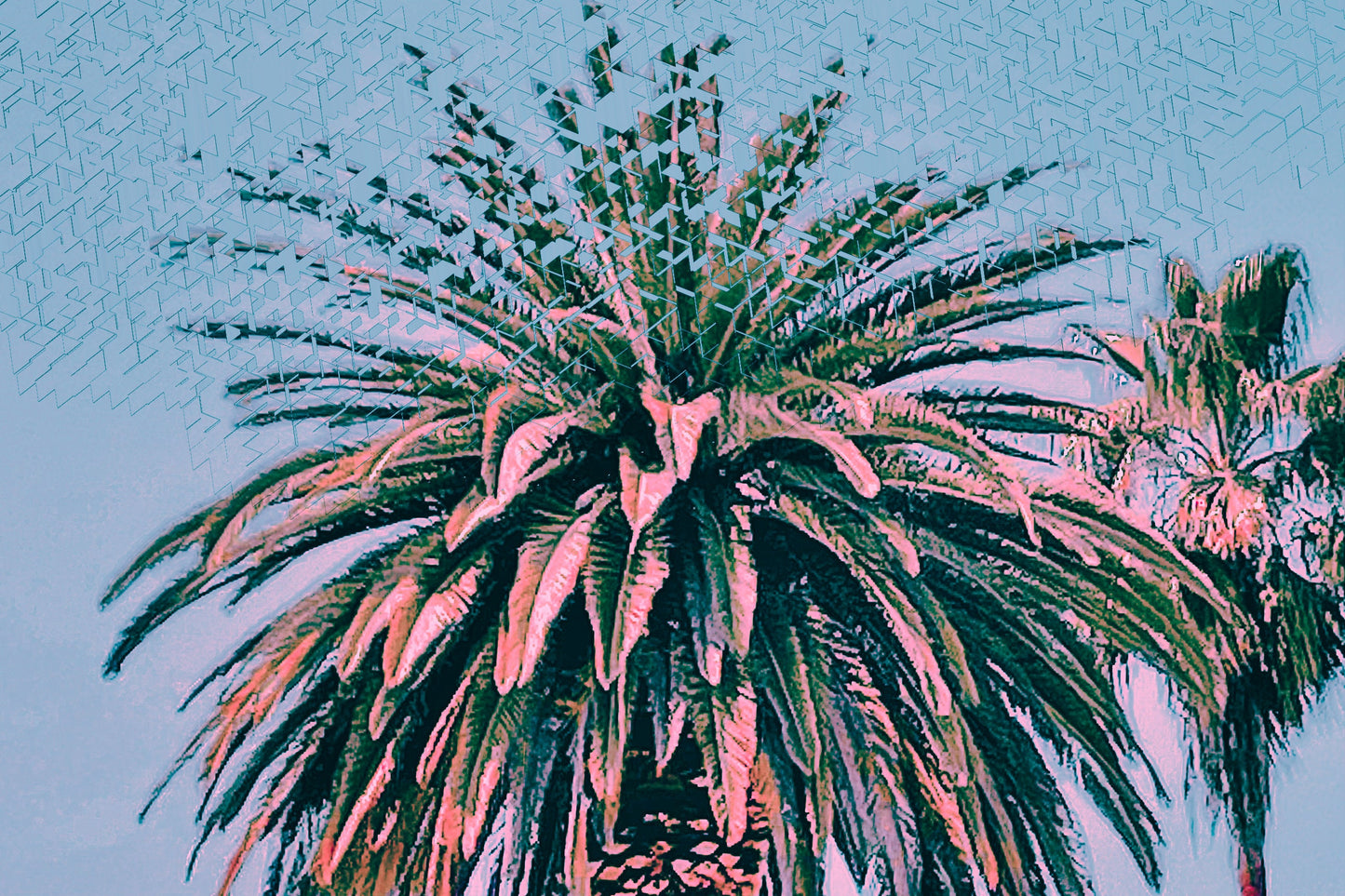 Los Angeles Palms Magnet - West Coast Magnet - Decorative Magnet - 4x6