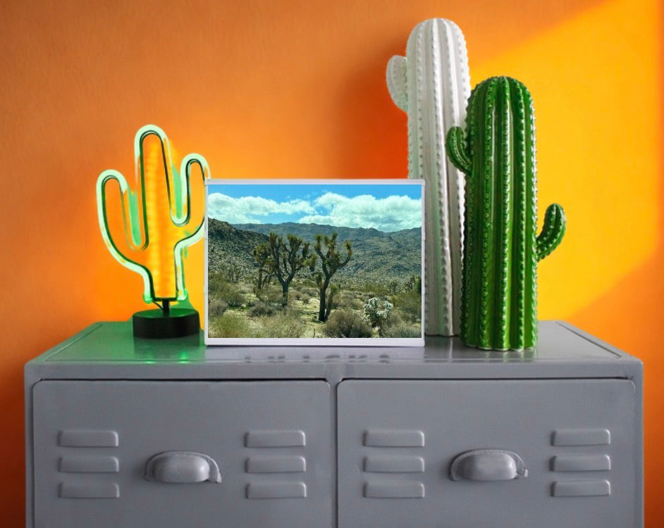 Decor That Solves Problems (Without Breaking the Bank): Making Your Space Feel Like You