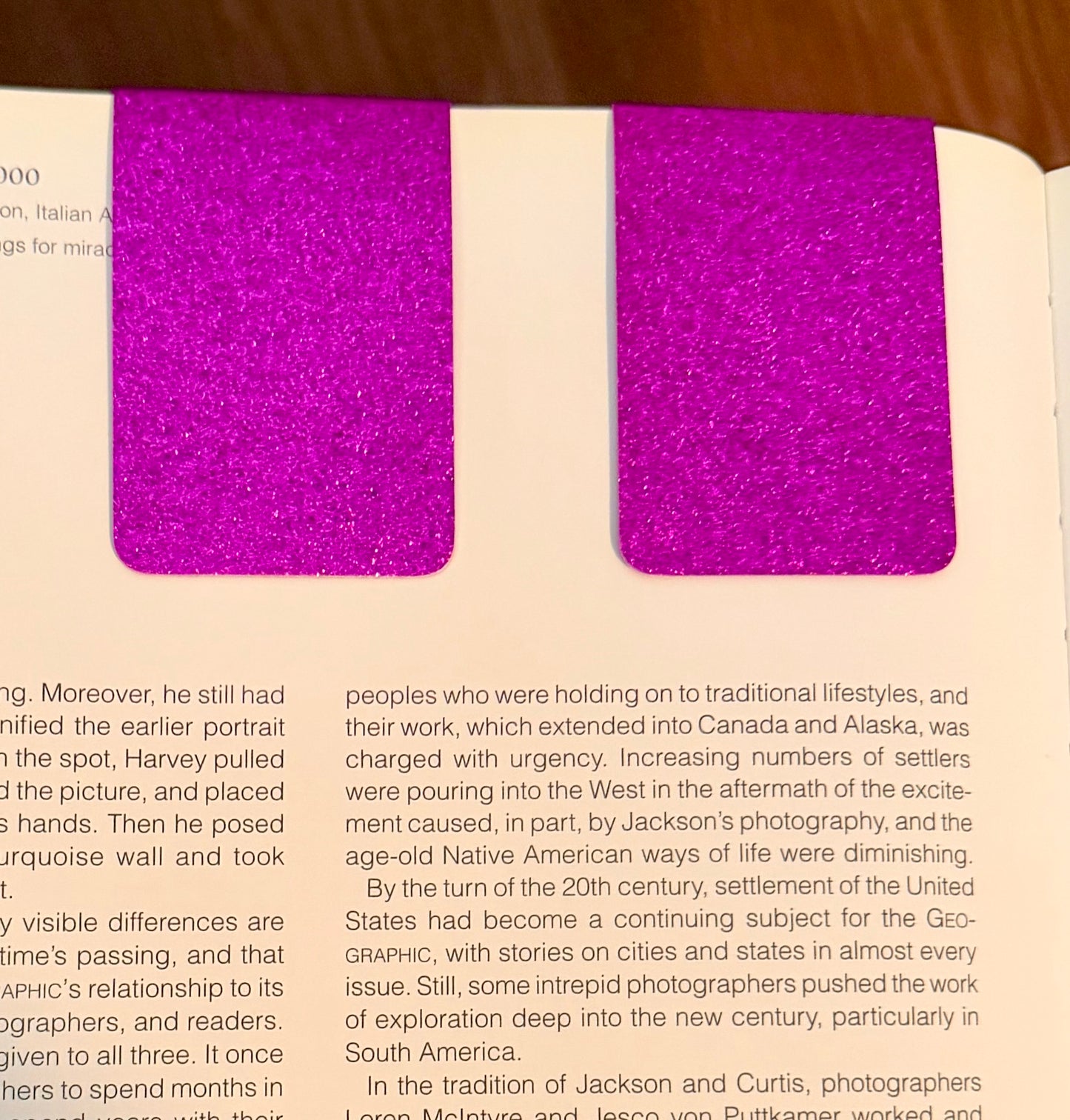 Magnetic Bookmarks