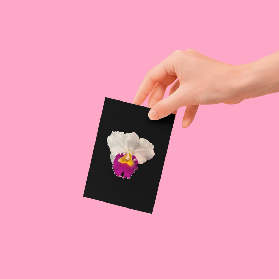 Flower Photo 4”x6” Mini Print - Black Background