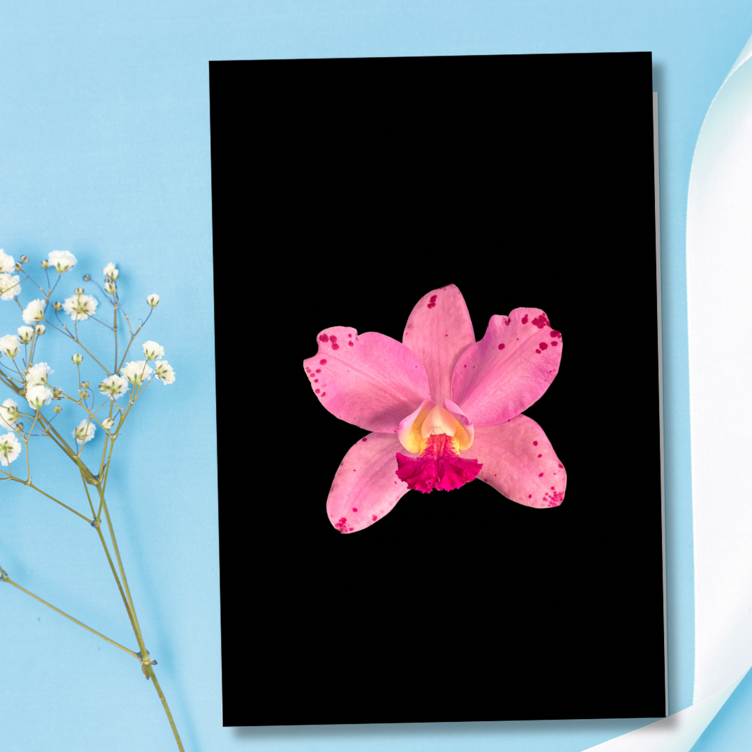 Flower Photo 4”x6” Mini Print - Black Background