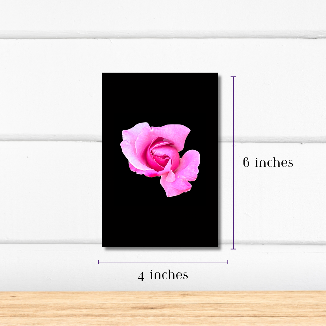 Flower Photo 4”x6” Mini Print - Black Background