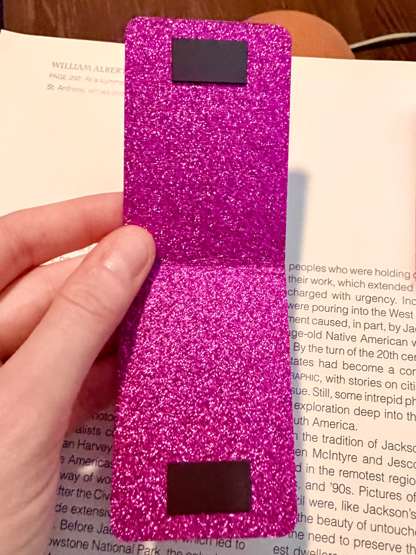 Magnetic Bookmarks
