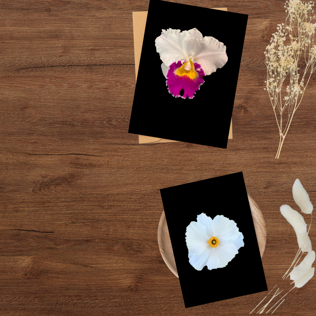 Flower Photo 4”x6” Mini Print - Black Background