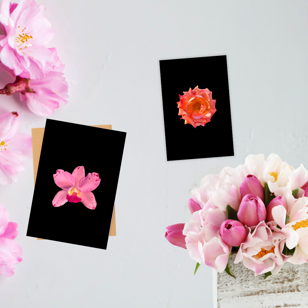 Flower Photo 4”x6” Mini Print - Black Background