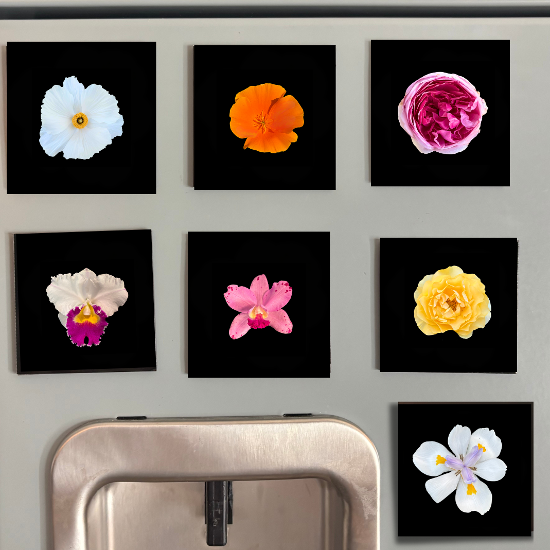 FLOWER PHOTO SQUARE MAGNET SET