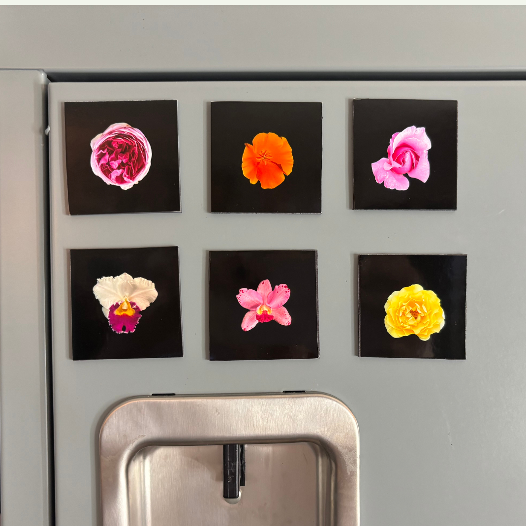 FLOWER PHOTO SQUARE MAGNET SET