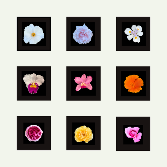FLOWER PHOTO SQUARE MAGNET SET