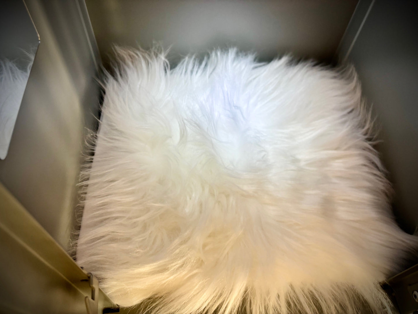 Locker Rug Non Skid Backing