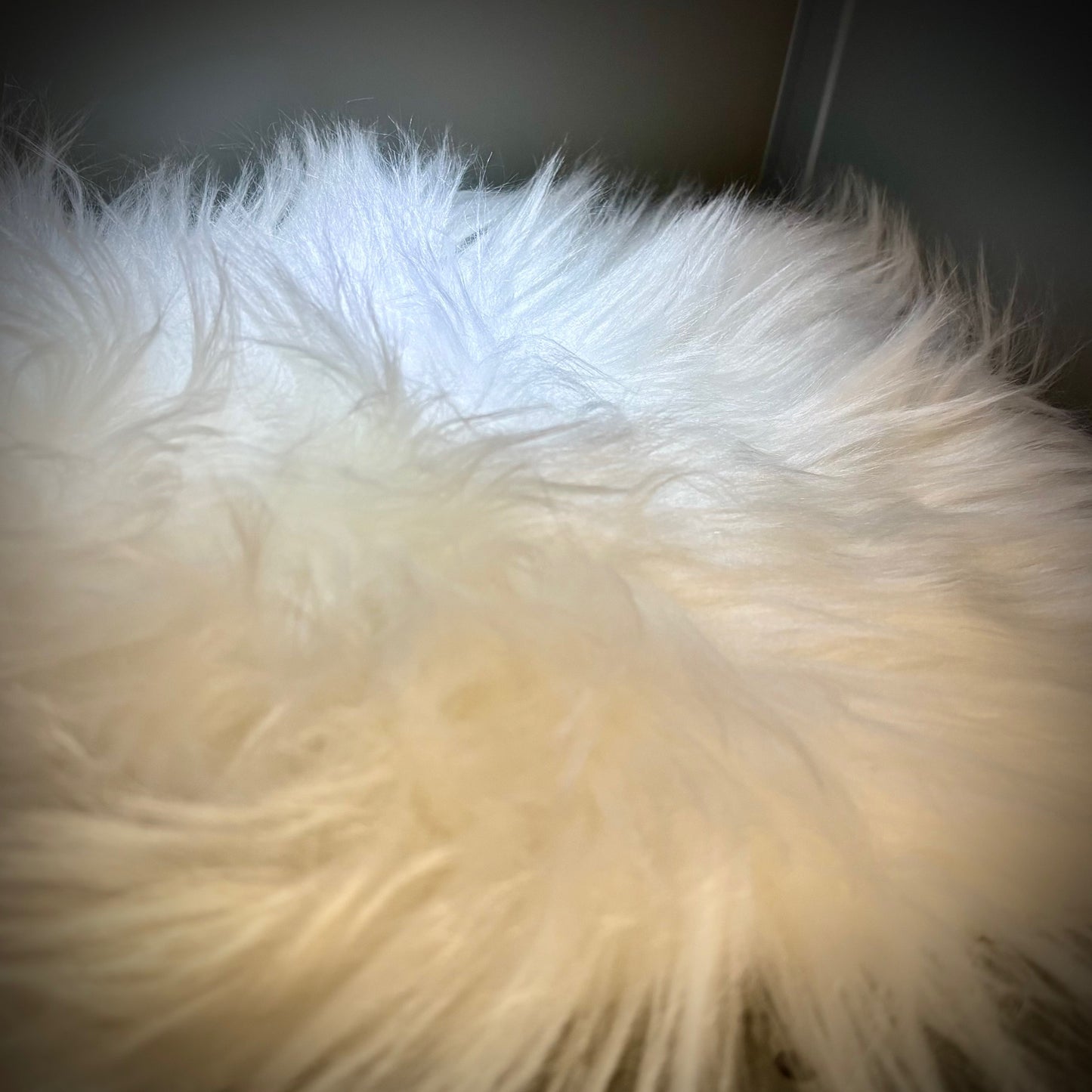 Locker Rug Non Skid Backing