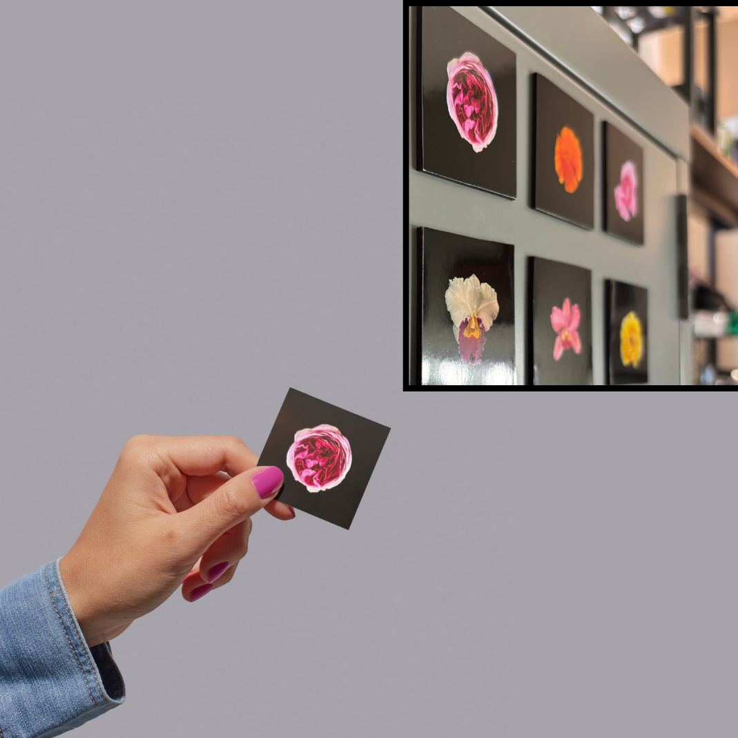 FLOWER PHOTO SQUARE MAGNET SET