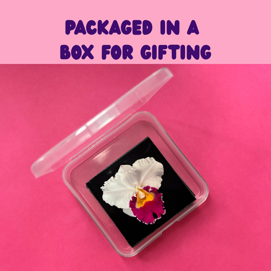 FLOWER PHOTO SQUARE MAGNET SET