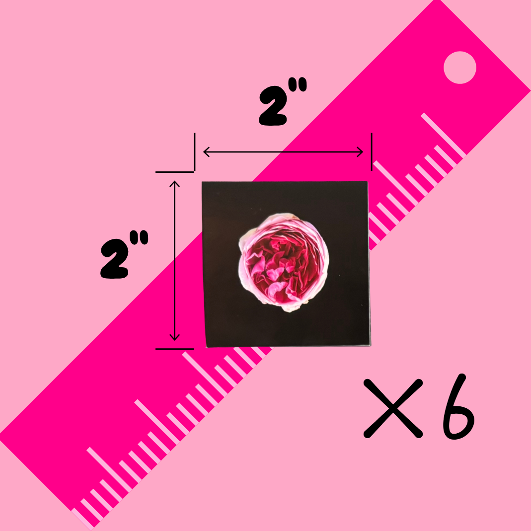 FLOWER PHOTO SQUARE MAGNET SET