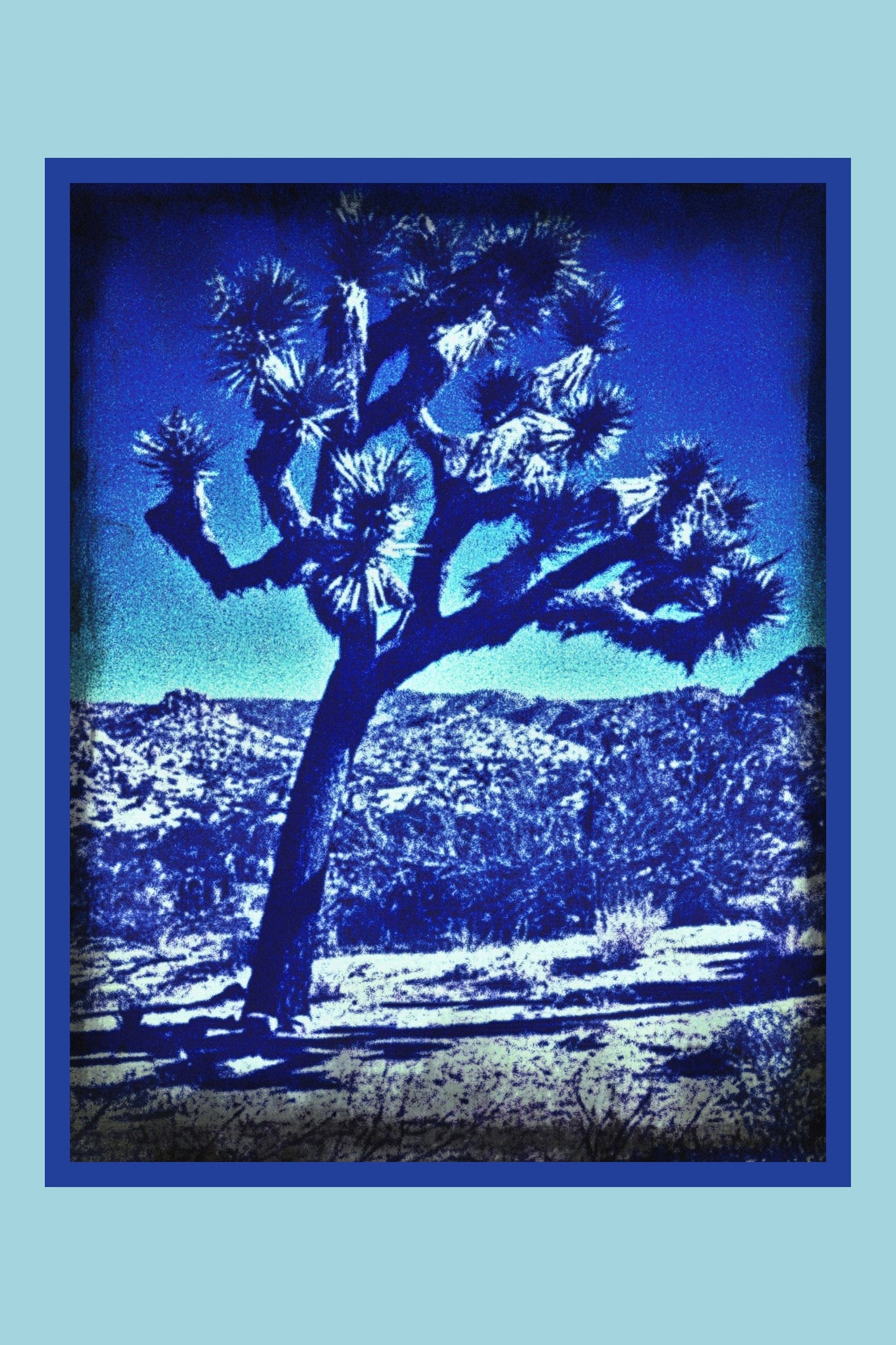 Joshua Tree Magnets - Set of 7