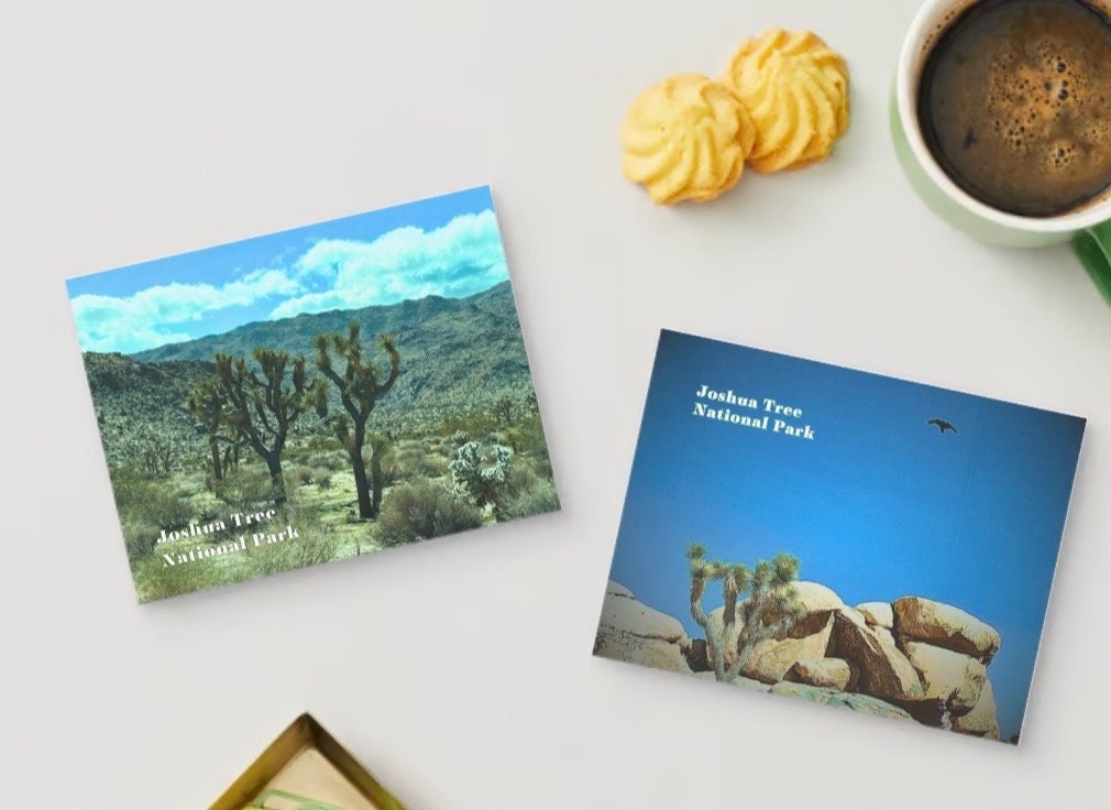 Joshua Tree Photo Postcard - Blank