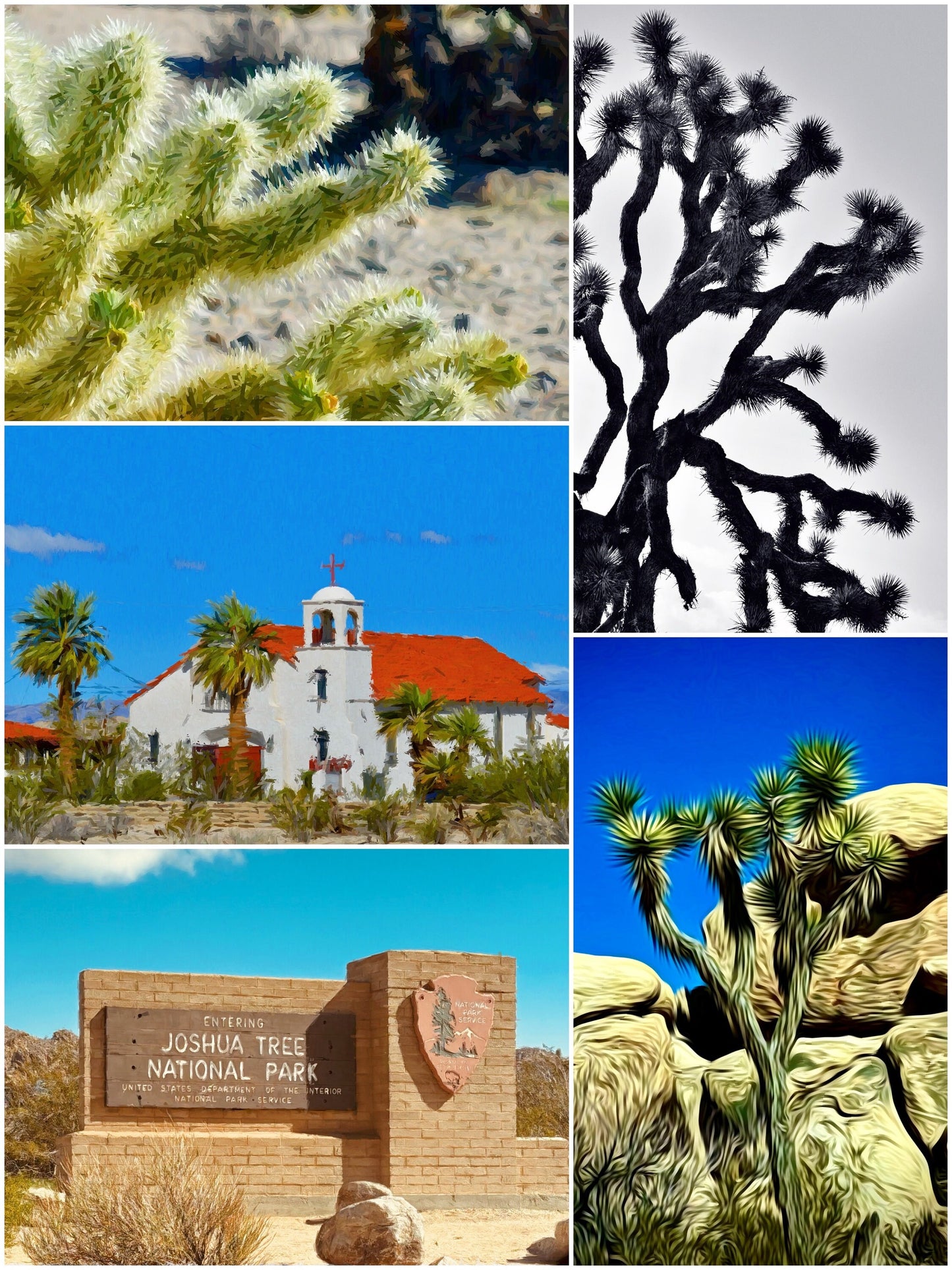 Joshua Tree Magnet Set - 5 pcs / 2024 Magnets (3”x2”)