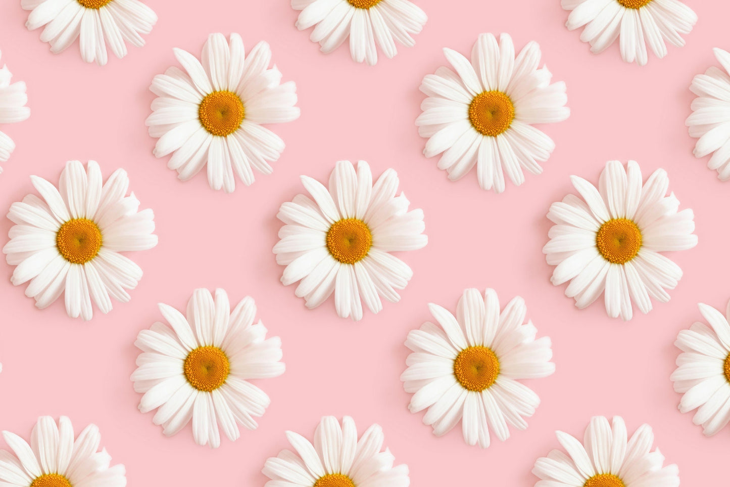 Daisy Sticker Set